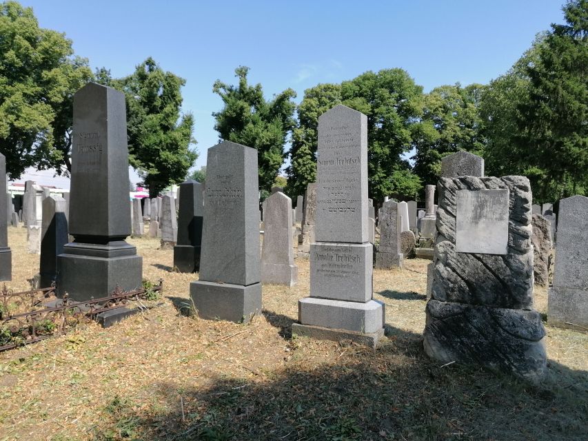 3-Hour Walking Tour of Vienna Central Cemetery - What to bring and how to plan the day