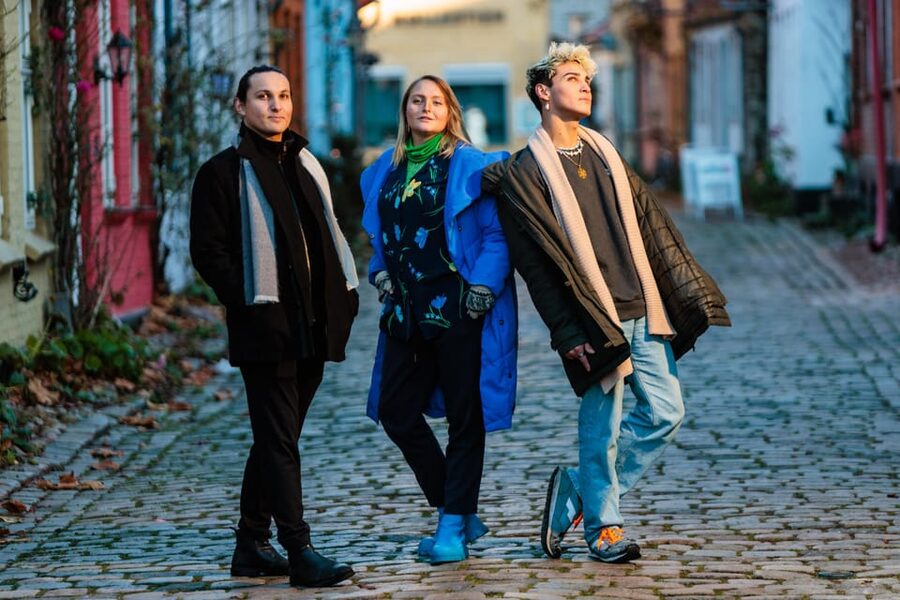 Aarhus Walking Tour: From Viking Village to Metropolis - Who will enjoy this walk most