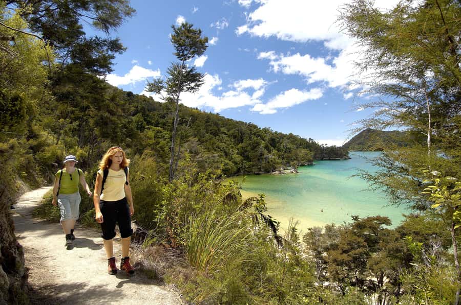 Abel Tasman National Park: Cruise, Walk & Sailing Tour - Seals, swimming, and the view from the water