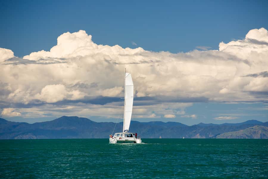 Abel Tasman National Park: Sailing and Self-Guided Walk - Key points to know before you book