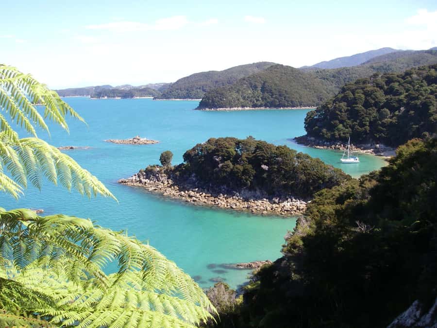 Abel Tasman National Park: Sailing and Self-Guided Walk - Kaiteriteri to Anchorage Bay by catamaran
