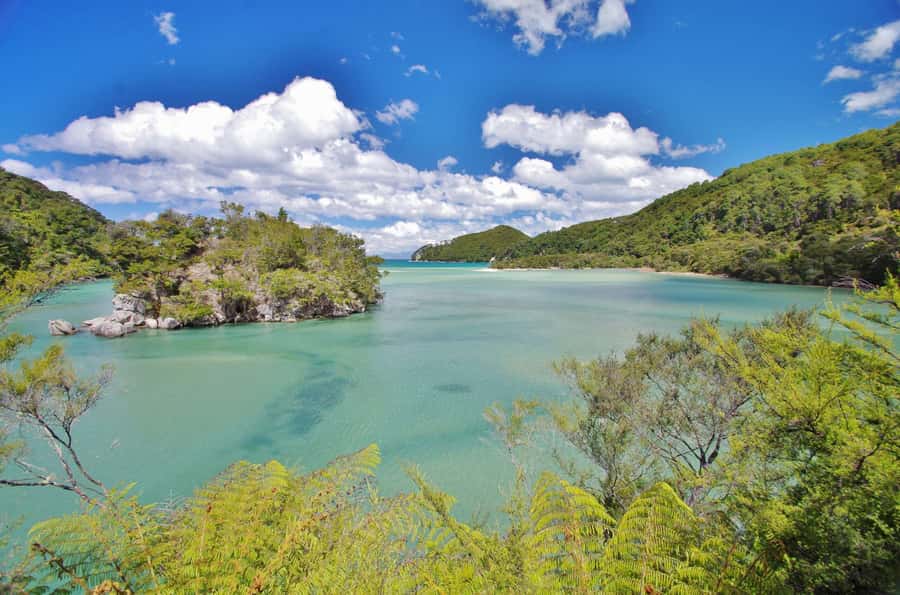Abel Tasman: Sea Shuttle Cruise and Walking Tour Combo - Option B: Medlands Beach, swing bridge, and Cleopatra’s Pool