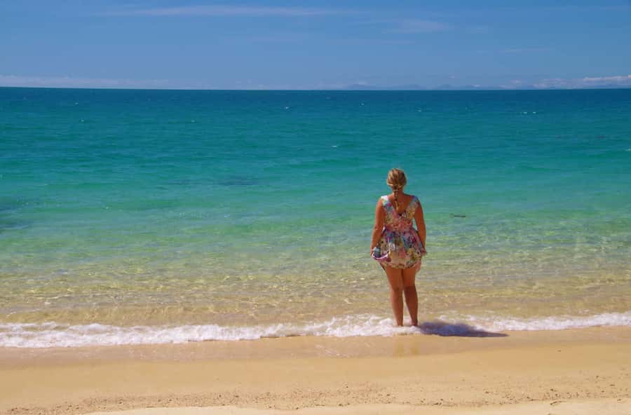 Abel Tasman: Sea Shuttle Cruise and Walking Tour Combo - Option C: the five-beach route from Awaroa