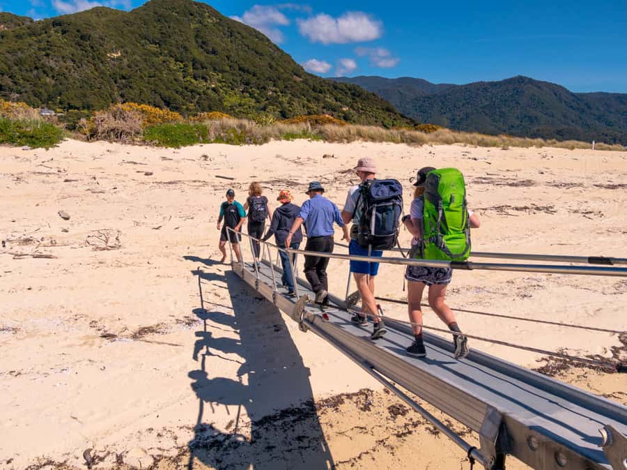 Abel Tasman: Sea Shuttle Cruise and Walking Tour Combo - Beaches, wildlife, and the value of slowing down