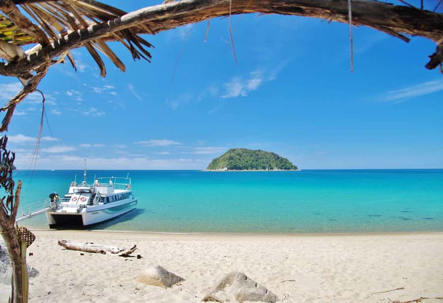 Abel Tasman: Sea Shuttle Cruise and Walking Tour Combo - How much walking should you really expect?