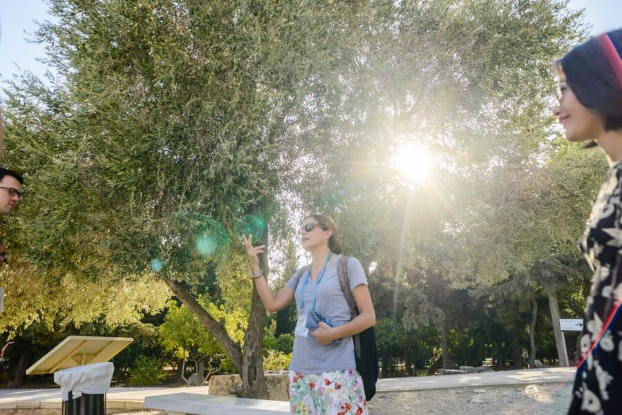 Acropolis: Acropolis and Parthenon Guided Walking Tour - Starting at the Theatre of Dionysus