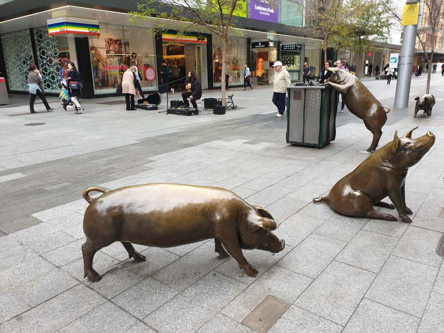 Adelaide: City Walking Tour with Guide - Who should book this walk?