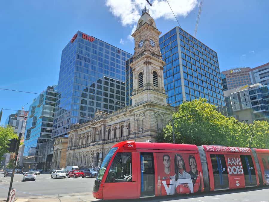 Adelaide: Guided Ultimate Walking Tour with Drink and Snack - Central Market is a useful final stop