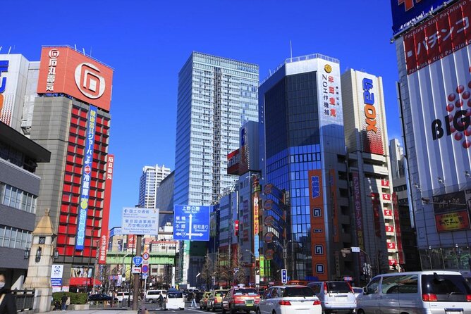 Akihabara Anime & Game Adventure Walking Tour (Group or Private) - Key Points at a Glance
