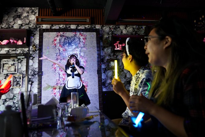 Akihabara Anime & Game Adventure Walking Tour (Group or Private) - Akihabara in Three Hours: Who This Walk Helps