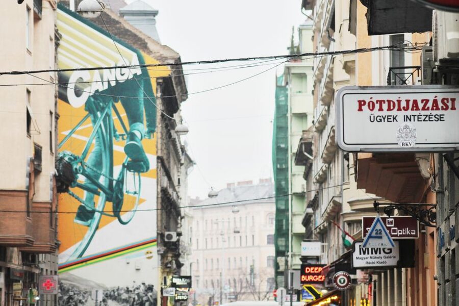 Alternative Budapest Walking Tour - Understanding Budapest’s ruin-bar culture