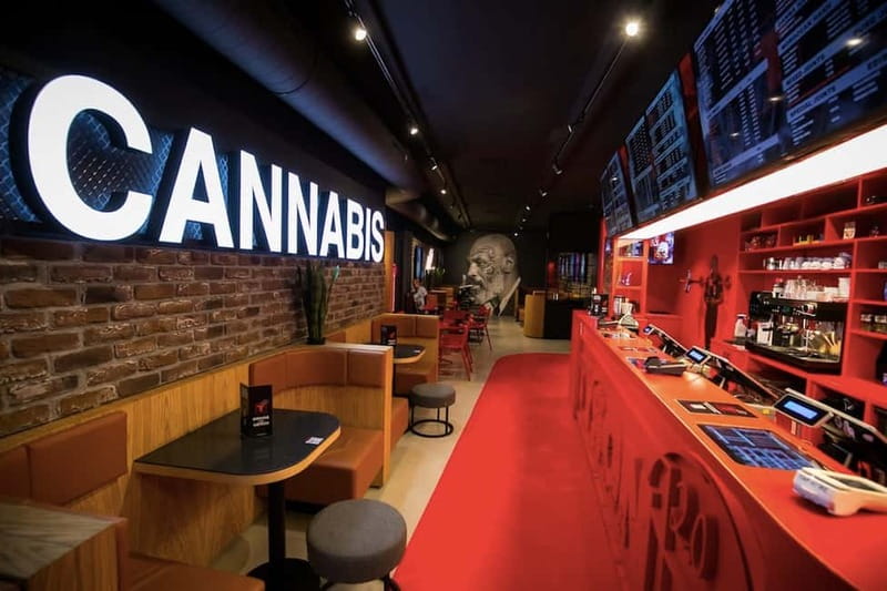 Amsterdam: Ganja Walking Tour - Coffeeshop Tyson 2.0 and the Dutch approach