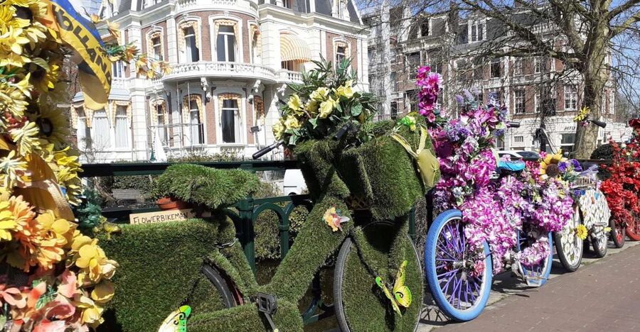 Amsterdam Walking Tour and Canal Cruise - What the private format is really worth
