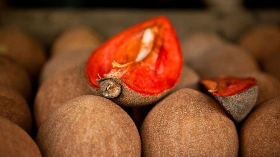 Antigua Guatemala: Street Food Walking Tour with Tastings - Six or seven tastings, with a sweet side