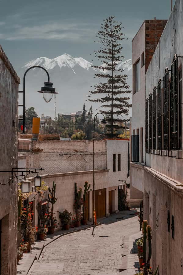 Arequipa: Walk through the Historic Center of the City - The Cathedral and Arequipa’s white-stone identity