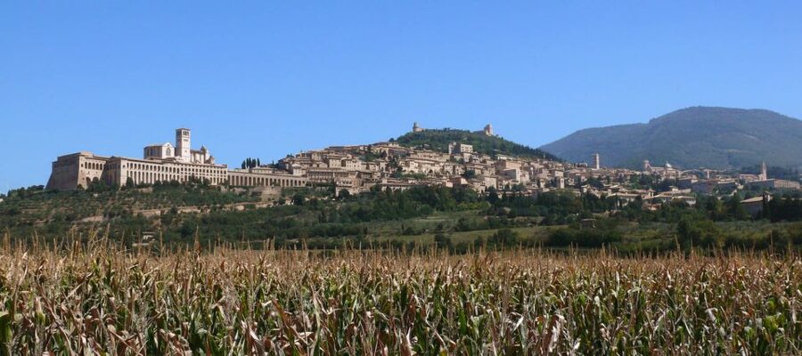 Assisi: Walking Tour with St. Francis Basilica Visit - San Rufino and the story of Assisi’s saints