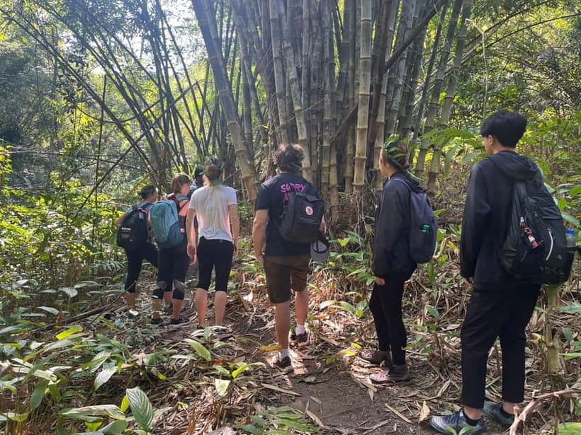 Authentic trek only walk in Chiang Rai jungle - A real jungle walk, not a quick forest stop
