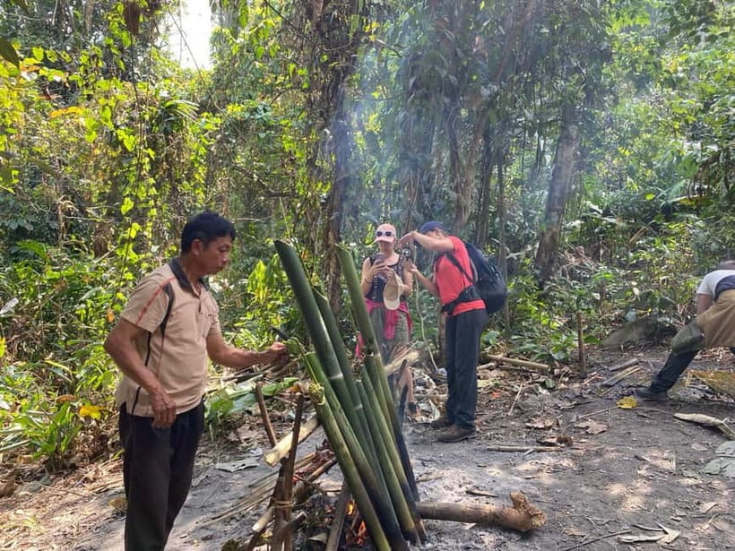 Authentic trek only walk in Chiang Rai jungle - Tea plantations bring a calmer stretch to the walk