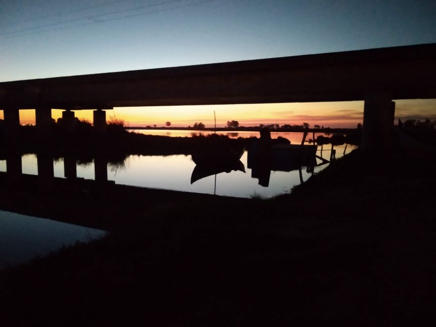 Aveiro: Walking Tour, Boat Cruise, Sweets & Church Entrance - Ovos moles, Aveiro’s sweet signature