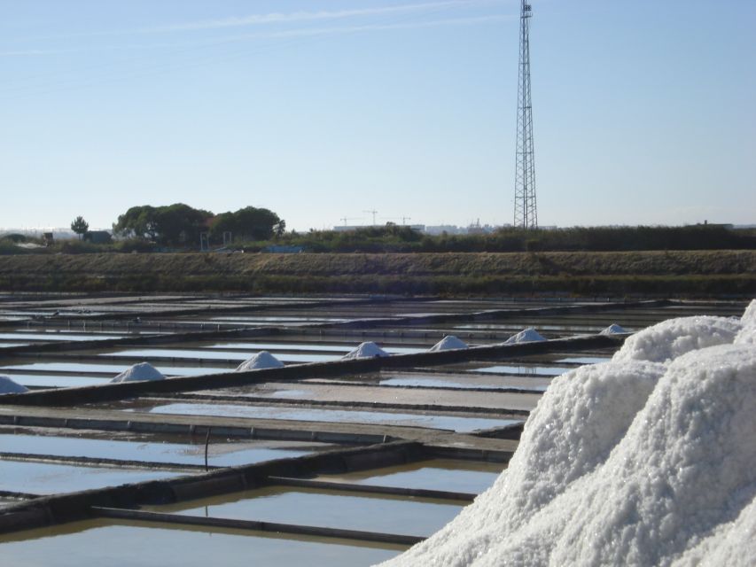 Aveiro: Walking Tour, Boat Cruise, Sweets & Church Entrance - Starting in Aveiro’s sacred center