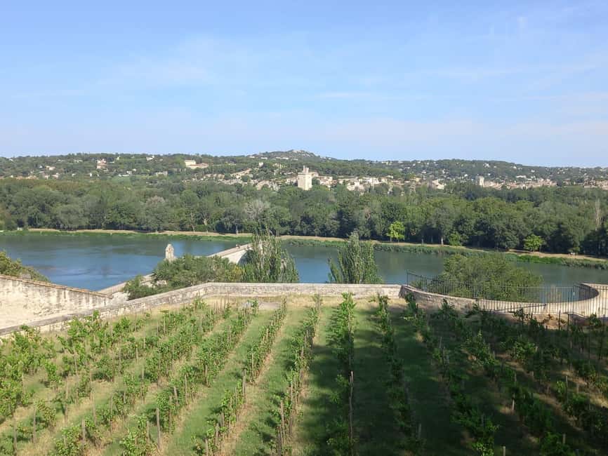 Avignon: City Walking Tour with Popes Palace Entry - Is $81 a fair price?