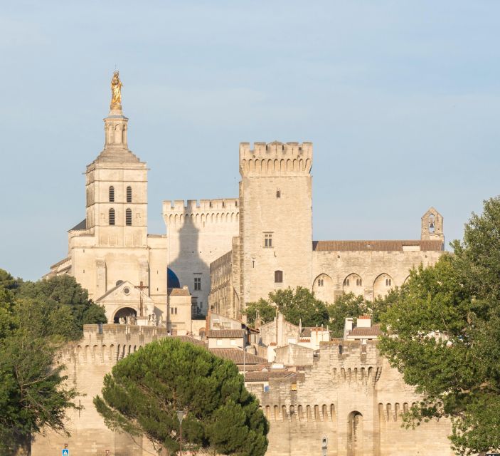 Avignon: City Walking Tour with Popes Palace Entry - Who should book this Avignon walk?