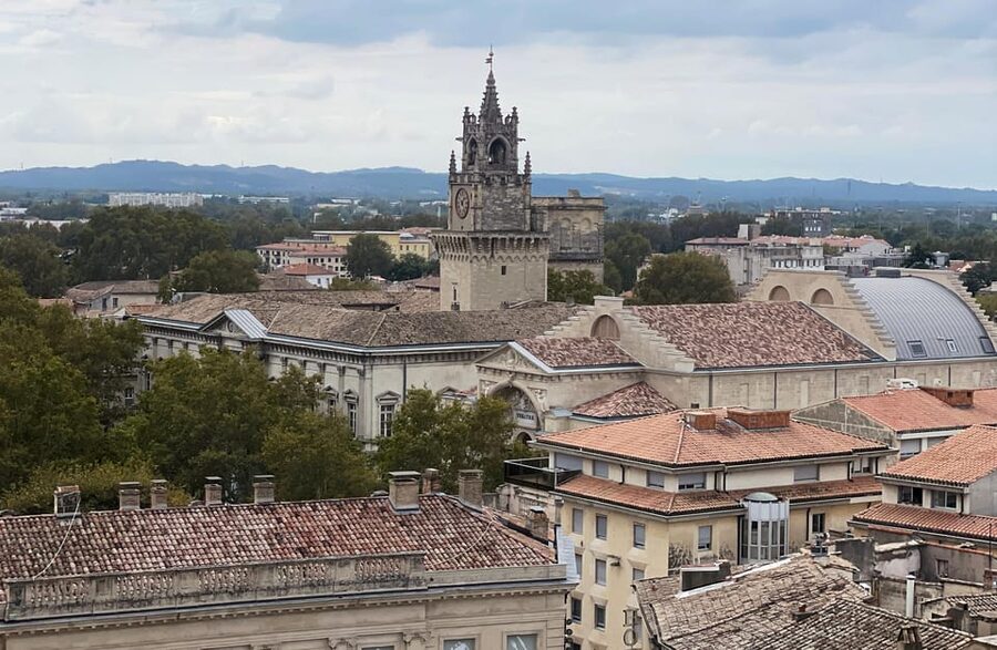 Avignon: History and Legend Walking Tour - Pont Saint-Bénézet and the river story