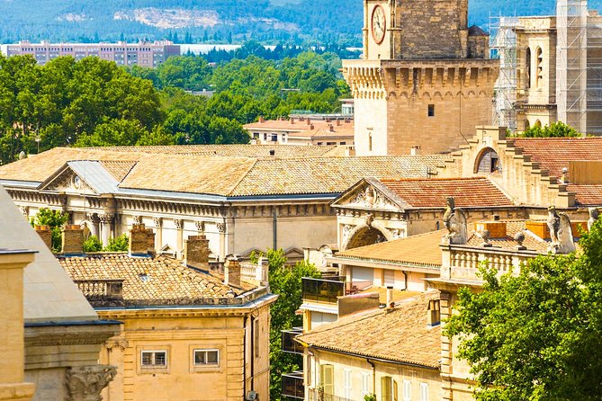 Avignon Walking Tour including Pope's Palace - Practical details that matter