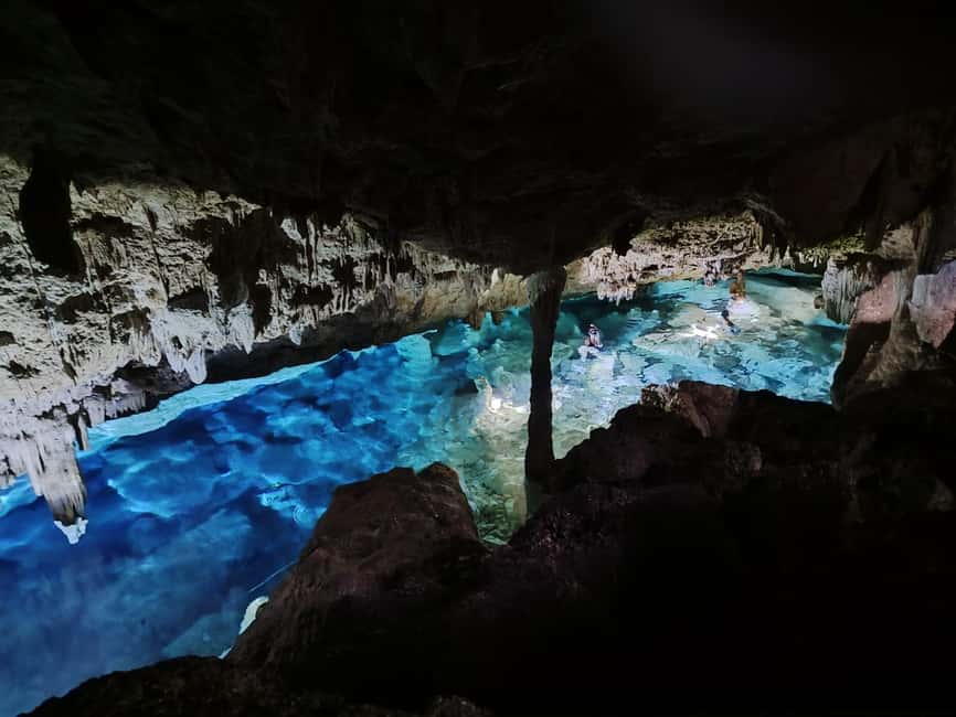 Bayahibe: National Park Jungle Walk & Snorkeling in Cenotes - A hot walk through Cotubanamá National Park