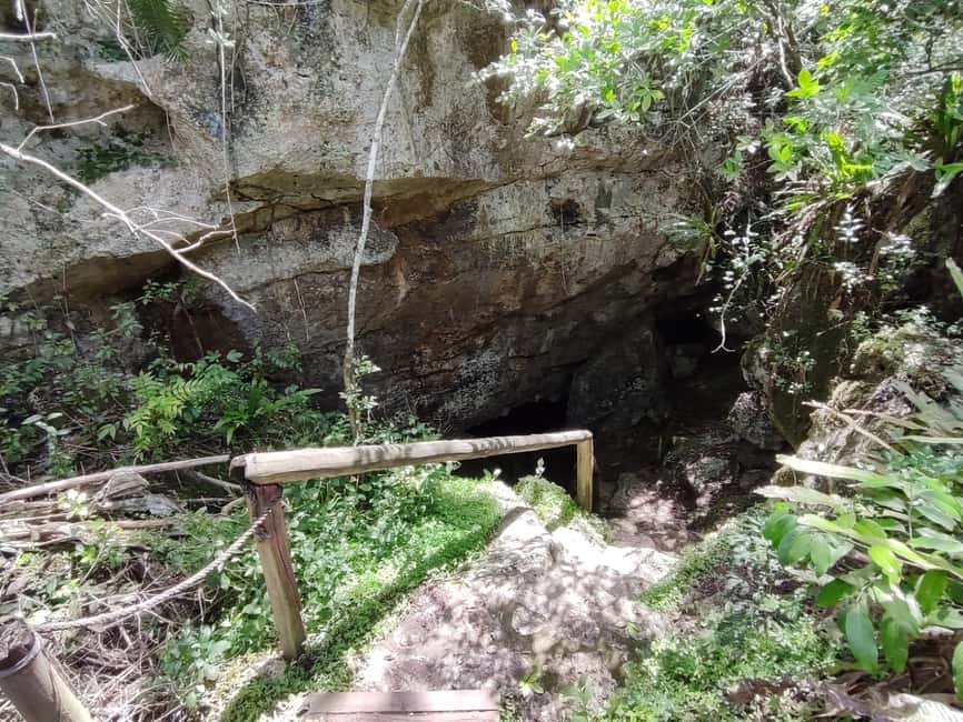 Bayahibe: National Park Jungle Walk & Snorkeling in Cenotes - Descending into Chicho Cave
