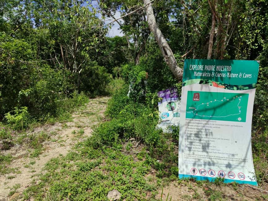 Bayahibe: National Park Jungle Walk & Snorkeling in Cenotes - The guides shape the experience
