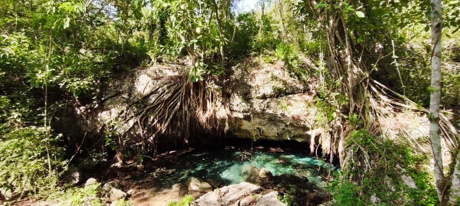 Bayahibe: National Park Jungle Walk & Snorkeling in Cenotes - Cooling off, then sharing a snack
