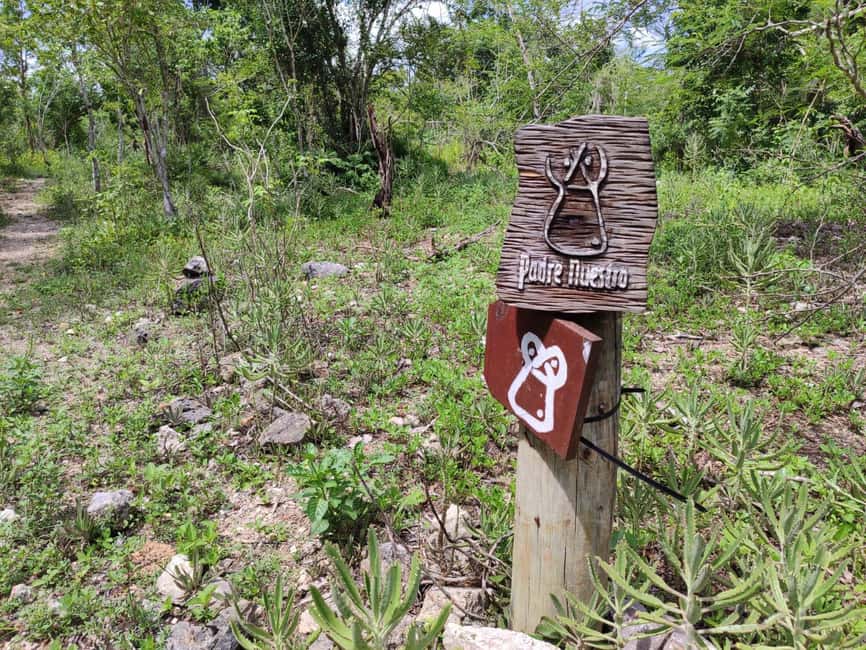 Bayahibe: National Park Jungle Walk & Snorkeling in Cenotes - Who should book this outing?