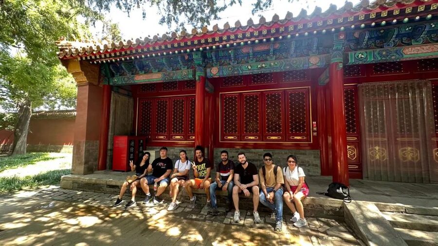 Beijing: Forbidden City Tour(Group/Private)-Tickets Included - Language, organization, and guide quality