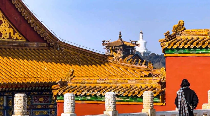 Beijing: Highlights of Forbidden City Private Walking Tour - The private format and your guide