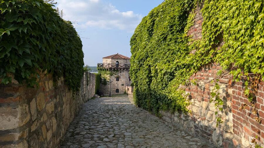 Belgrade: 3-Hour Serbian History Walking Tour - Price, pace, and who should book