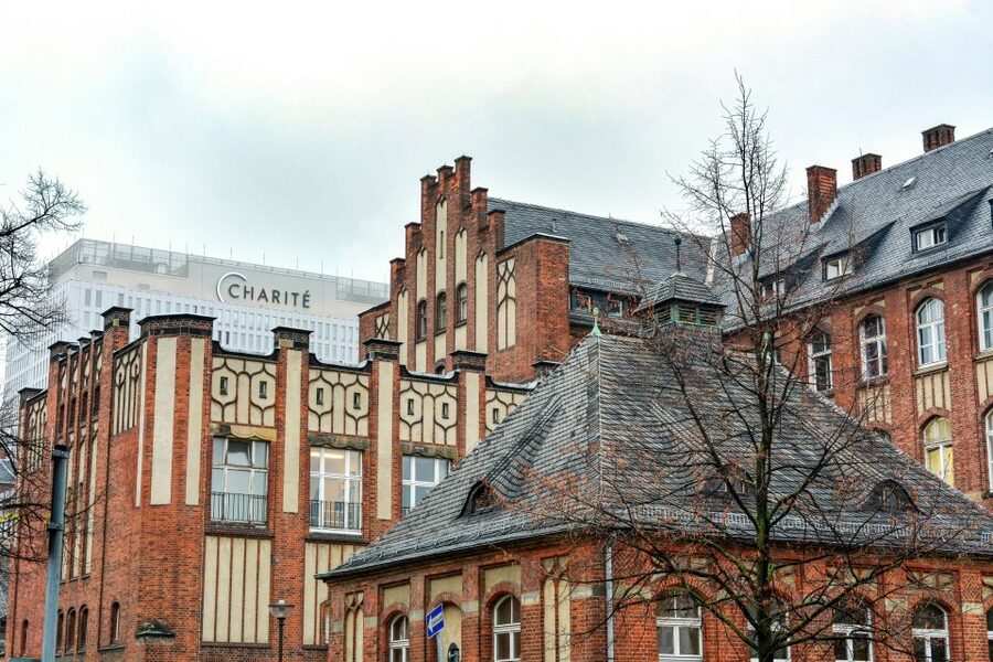 Berlin: Charité Hospital Walking Tour of Medical History - Robert Koch, Rudolf Virchow, and the people behind the names
