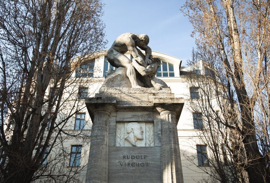 Berlin: walking tour about Charité - Is $27 a fair price?