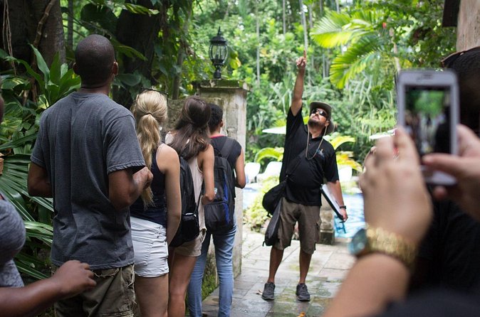 Bites of Nassau Food and Walking Tour - Group size, pace, and the practical side