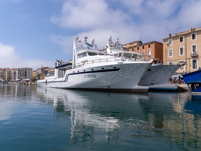 Boat walk in Sete on the singular island 1 hour - Key points to know before booking