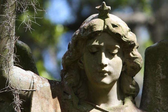 Bonaventure Cemetery Walking Tour with Transportation - Downtown pickup makes the visit much easier