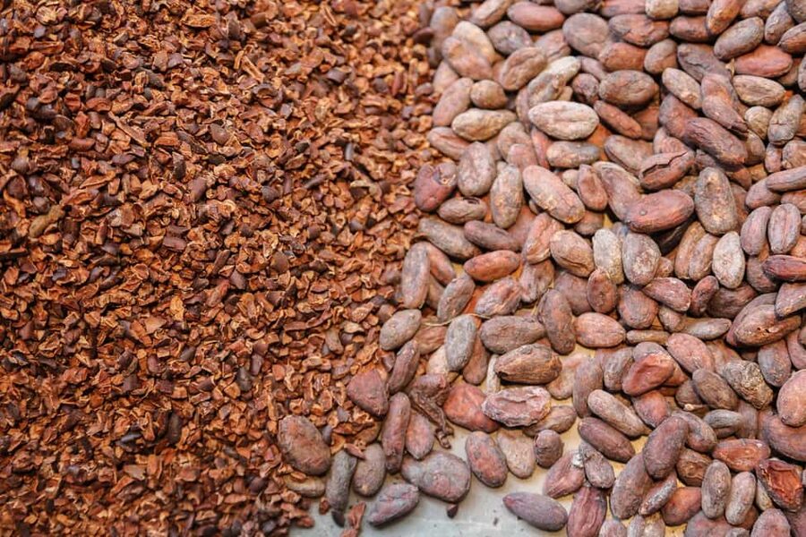 Brussels: Chocolate Appreciation and Tasting Walking Tour - Who will enjoy this chocolate walk?