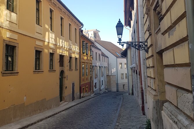 Budapest: Castle District Walking Tour - Royal Palace, presidents, and the scars of war