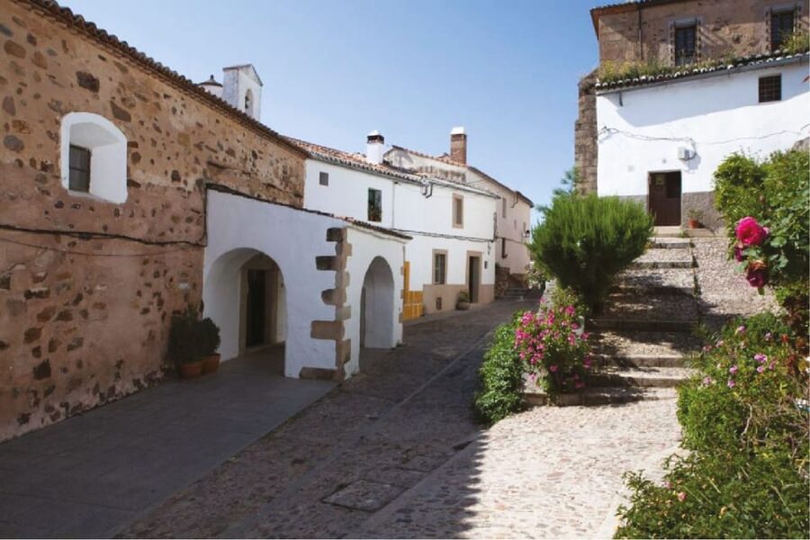 Cáceres: City Highlights Walking Tour with Local Guide - The Spanish language and guide style