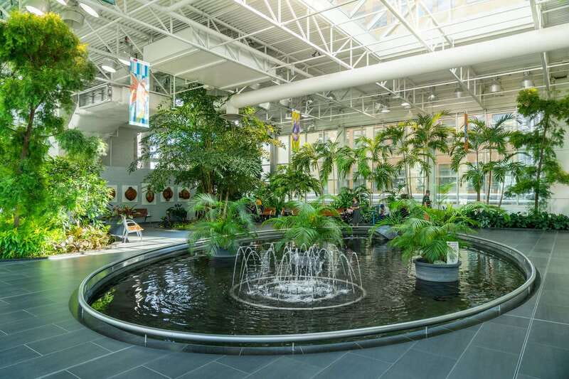 Calgary: City Highlights Walking Tour | 3-Hour - Why this Calgary walk works well on a first day