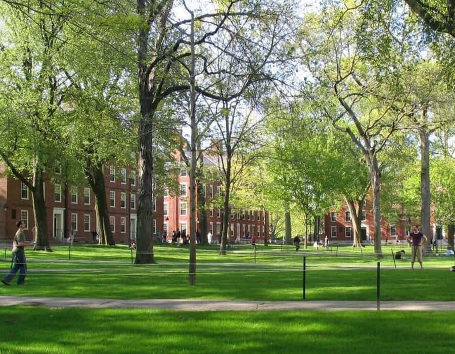 Cambridge, Massachusetts: MIT and Harvard Walking Tour - Architecture from Pei to Gehry