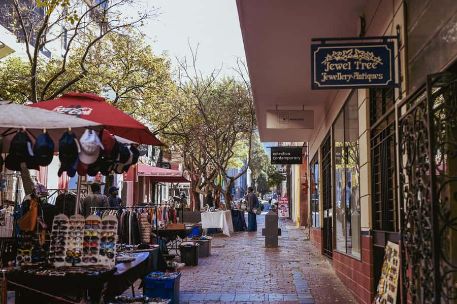 Cape Town: Art, Culture & History Walking Tour - Parliament, City Hall and the Mandela connection