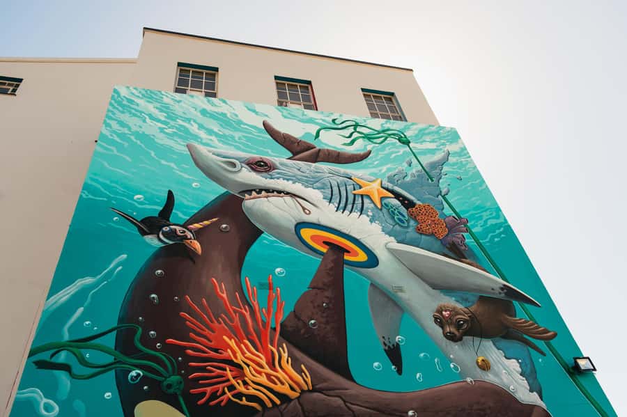 Cape Town: Street Art Walking Tour in Woodstock - Why Woodstock street art works best with a guide