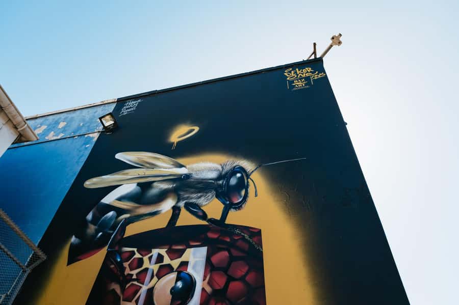 Cape Town: Street Art Walking Tour in Woodstock - Salt River Nature Park and the link between art and community