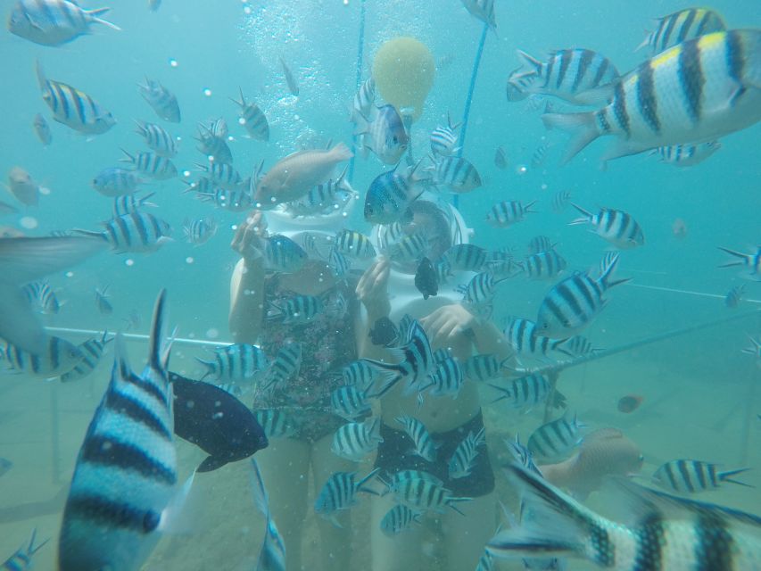 Cham Island: Underwater Walking & Snorkeling Tour - Key points to know before you book